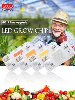  cresce a luz CA 220V20W30W50W sem motorista CONDUZIU o crescimento da planta chip IC inteligente para o jardim interior DIY de crescimento e de floração da planta lâmpada de contas